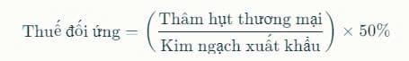 Tinh_thue_doi_ung_cua_My